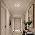 Spot LED ORBITA, 5W, Rotund, Lumina Rece / Calda, Bronz Antichizat, Rasina si Sticla SL304AB