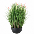 Planta Artificiala, Iarba in Ghiveci Ornamentala Tip Coada Vulpii, 61 cm, cu 19 Spice, Verde si Roz SKCH2/SSPZ1136