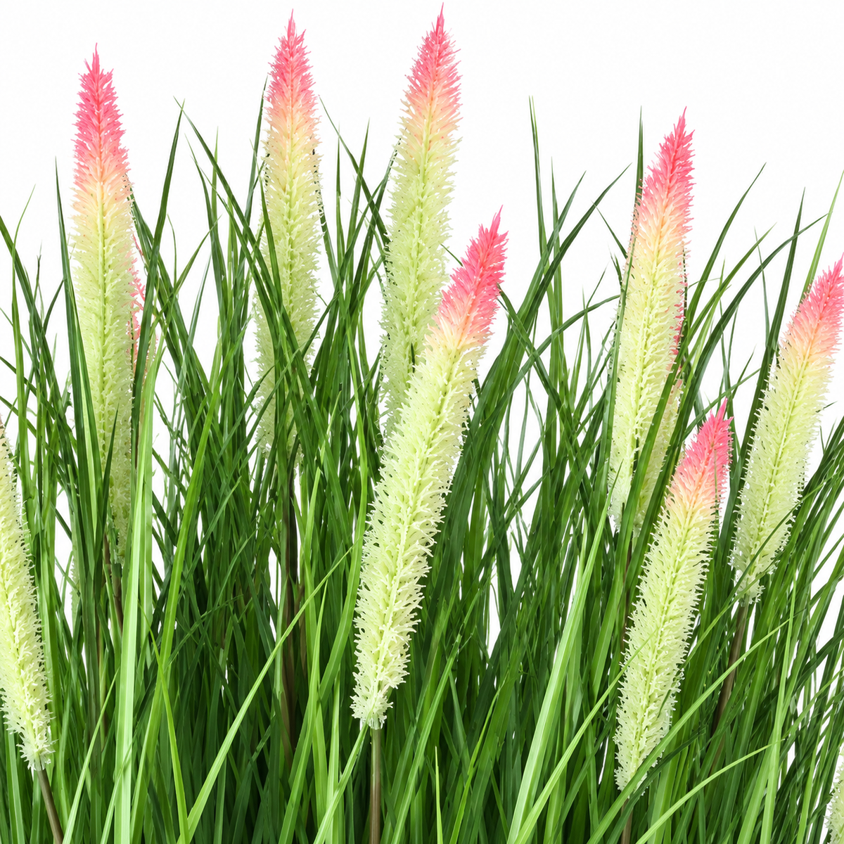 Planta Artificiala, Iarba in Ghiveci Ornamentala Tip Coada Vulpii, 61 cm, cu 19 Spice, Verde si Roz SSPZ/1136PK