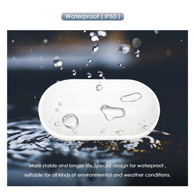Aplica LED de Exterior AX320/218WH, Lumina Calda 3000K, IP65, Alb, Metal