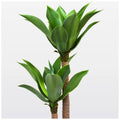 Planta Artificiala Dracaena fragrans, 140cm, Verde, fara Ghiveci