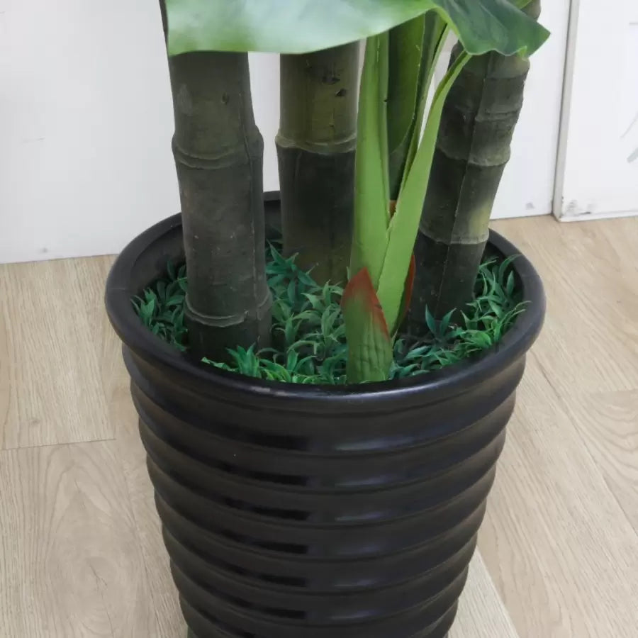Planta Artificiala Banan japonez, 4 Crengi, fara Ghiveci 180cm Verde